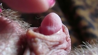 Intense Close-Up Van Mijn Kloppende, Grote Clitoris Tijdens Masturbatie