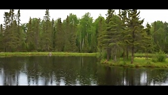 Amateur Travel Vlog: Luna'S Wild Adventure In Canada